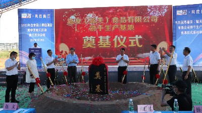 yd12300�ƶ���·���޹�˾�عس������ص������Բ���ɹ���